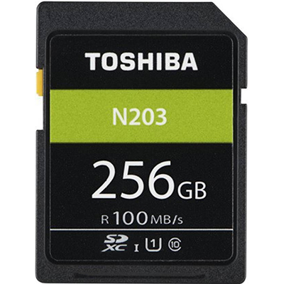 Toshiba N203 256 GB SDHC Class 10 100 MB Memory Card