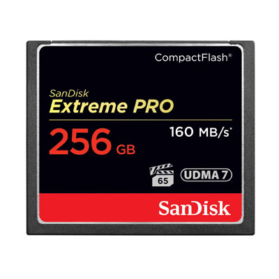 SanDisk Extreme PRO 256GB Compact Flash Memory Card UDMA 7 Speed Up To 160MBs