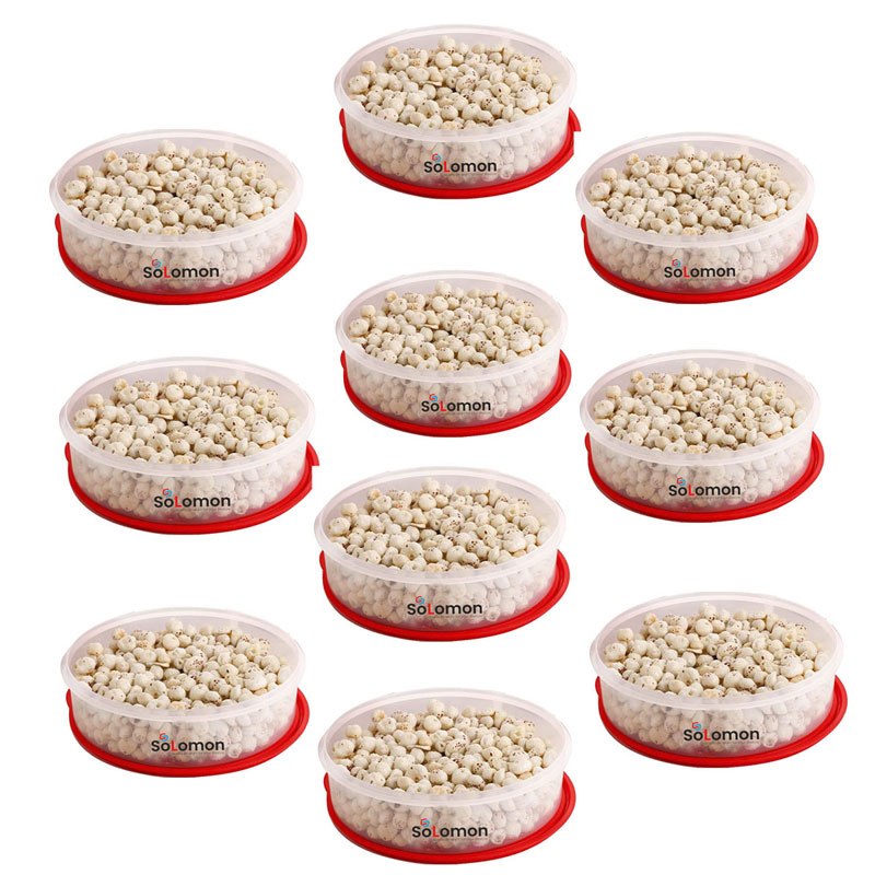 SOLOMON KHAKHRA BOX RED Pack of 10